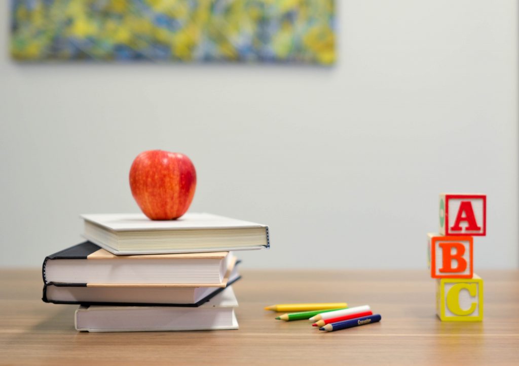 autism and behavior issues